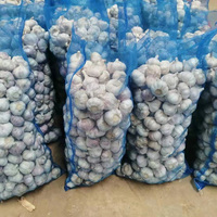 Distributeur et Fournisseur en Gros d'Ail Blanc Frais de Chine pour l'Exportation sur Alibaba