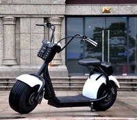 Scooter Eléctrico Citycoco con Doble Asiento y Neumáticos Anchos para Motocicleta Estilo E, Motor de 2000W, Batería de Litio Extraíble, Sensor a Prueba de Agua