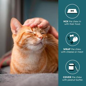 OEM/ODM Friandises à mâcher pour chats et chiens pour soutenir le système immunitaire - Renforcement immunitaire <span class=keywords><strong>naturel</strong></span> pour les compléments alimentaires pour la santé des animaux de compagnie - Product Image 4