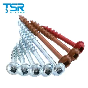 Vis autotaraudeuses Ruspert à tête cylindrique carrée, revêtement zinc, pour trous de poche dans le bois (Jig <span class=keywords><strong>Kreg</strong></span>) - Product Image 1