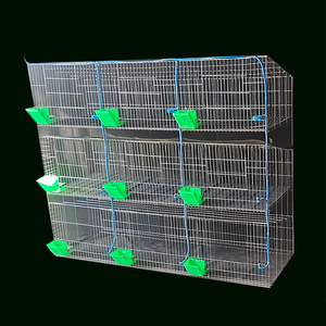 Kapalı metal broiler tavşan ve kafesleri tavşan oranı tepsi mat tiryakisi besleyici sistemi tam aksesuarları - Product Image 2