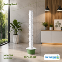 Système de culture verticale hydroponique à 13 niveaux pour la culture de légumes en intérieur