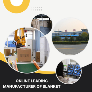 Bán Buôn Sẵn Sàng Để Tàu <span class=keywords><strong>Polyester</strong></span> Chăn Siêu Mềm Rắn Mô Hình Mùa Đông Giường Mờ Nhẹ Nhàng Fluffy Trang Trí Nội Thất Ném Chăn - Product Image 6