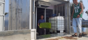 Granja forraje hidropónico crecimiento Sistema de contenedor de envío de contenedor de tipo de uso agrícola - Product Image 6