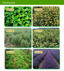 물티슈 용 할랄 인증 오이 추출물 액체 페이셜 마스크 바디 헤어 스킨 케어를위한 <span class=keywords><strong>Cucumis</strong></span> Satius 오이 추출물 - Product Image 5