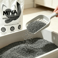 Litière pour chat agglomérante de qualité supérieure en bentonite, sans poussière de sodium, forte durabilité, contrôle des odeurs, formule minérale naturelle, non parfumée