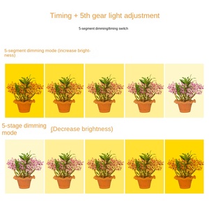Lámpara LED para Cultivo <span class=keywords><strong>de</strong></span> <span class=keywords><strong>Plantas</strong></span> Angel Ring, USB 5V, Espectro Completo con Temporizador con Cable, para Suculentas <span class=keywords><strong>de</strong></span> Interior, Plántulas, Jardinería en el Hogar - Product Image 3