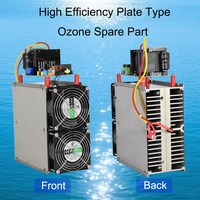 50g/h Hochkonzentrierte Keramik-Ozonplatte Ersatzteile für Ozongenerator