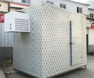 Emth Nhà cung cấp hàng đầu công nghiệp phòng lạnh và tủ đông thực phẩm lưu trữ 20ft container Kích thước lạnh lưu trữ phòng làm mát phòng cho thịt