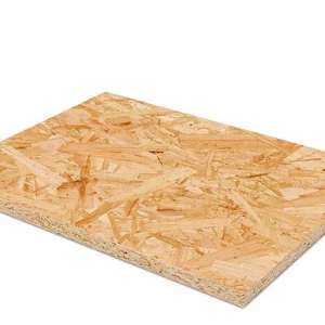 Pegamento MDI E0 grado 12mm 15mm 18mm <span class=keywords><strong>OSB</strong></span> Panel de madera para casa de campo, venta al por mayor - Product Image 1