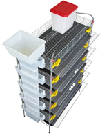 Cages d'élevage de cailles en acier inoxydable de type H, écologiques pour une gestion et une productivité agricoles efficaces
