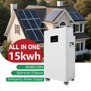 Batterie de stockage d'énergie 16 kWh 51,2 V à haute efficacité, <span class=keywords><strong>rechargeable</strong></span>, conçue pour les systèmes d'énergie solaire - Product Image 1
