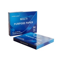 Papier A4 70/75/80 g/m² 100 % pâte de bois 500 feuilles/rame Personnalisation acceptée