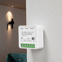 Smartdust Tuya 16A MINI WiFi Commutateur pour Smart Life Travail Alexa Google Home Alice-2-way Télécommande Minuterie Relais DIY ODM