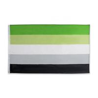 3x5ft Polyester Özel Stok LGBTQIA Aromantik Gurur Romantik Oryantasyon Bayrağı