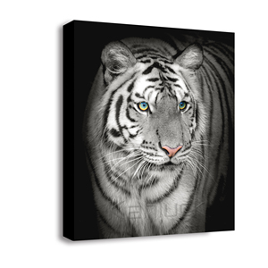 Impresionante <span class=keywords><strong>tigre</strong></span> <span class=keywords><strong>blanco</strong></span> original con cautivadores ojos azules, impresión digital al óleo sobre lienzo, arte <span class=keywords><strong>de</strong></span> pared moderno <span class=keywords><strong>de</strong></span> 40x50cm - Product Image 2