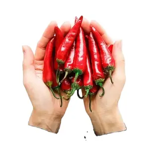 Especiarias orgânicas Bom Preço Seco Vermelho Chili Peppers