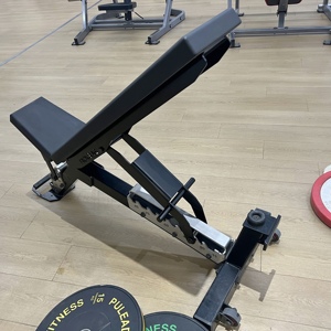 Coussin <span class=keywords><strong>de</strong></span> siège <span class=keywords><strong>de</strong></span> haute qualité Life Wellness Poids gratuit Fitness Force Signature <span class=keywords><strong>Banc</strong></span> réglable - Product Image 4