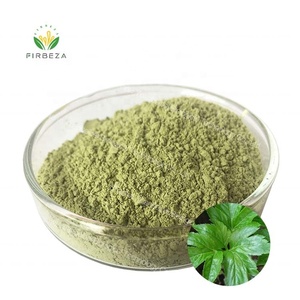 2022 Tanaman Organik Curah Angelica Keiskei <span class=keywords><strong>Ashitaba</strong></span> Bubuk Ekstrak Daun dengan Harga Terbaik - Product Image 1