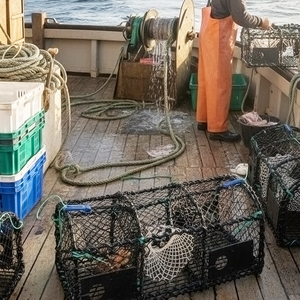 กับดักปูชุบสังกะสีและจุ่มหม้อปูสีดำอุปกรณ์ตกปลาสำหรับการจับปู - Product Image 2