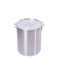 Friteuse à gaz propane en aluminium pour extérieur, idéale pour la cuisson en camping et au jardin, design portable pour l'extérieur