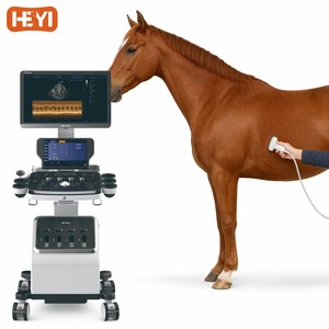 Échographe équin pour <span class=keywords><strong>chevaux</strong></span> MSK Tendon HEYI P70vet, Doppler Couleur Vétérinaire Professionnel Classe II, Sonde Linéaire Convexe, Garantie 1 an - Product Image 1