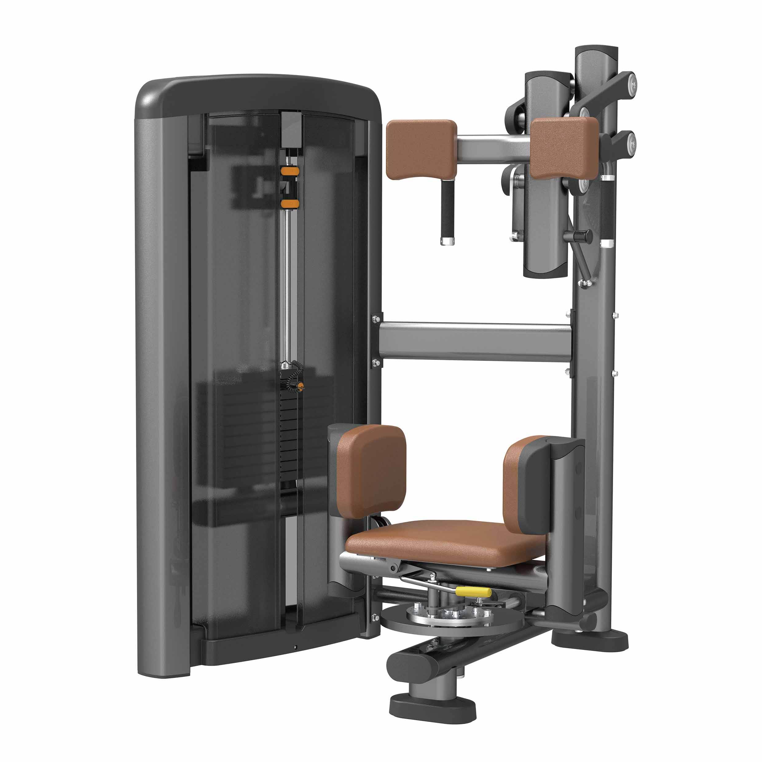 Torso Rotation Machines for Sale Strengthen Your Core