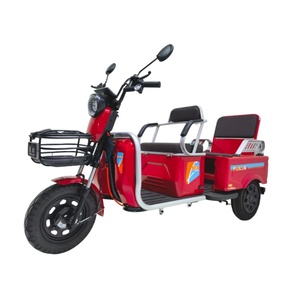 Pedicab <b>Passenger</b> 60V 800W Three Wheel Electric Tricycle with Pedal Assistant - Product Image 1