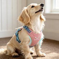 Harnais pour petit chien Touchdog avec ailes d'ange, en polyester léger, imperméable, coupe-vent, lavable, avec laisse, vente en gros d'usine