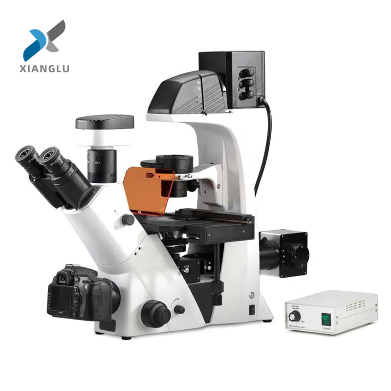 Kamera ile XIANGLU biyolojik mikroskop fiyat floresan mikroskop trinoküler mikroskop