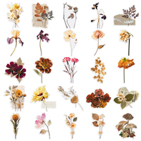 50 autocollants transparents personnalisés en PET découpés à la forme, représentant des spécimens de plantes réelles, pour cahiers et sacs à dos – Vente directe usine