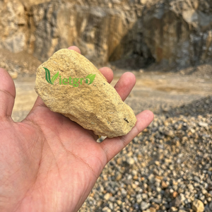 ROCK PHOSPHATE 27% - VIETGRO - Product Image 2