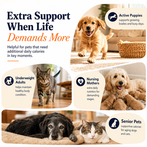 Gel Energético Líquido de Alta Calidad Calórica para Perros y Gatos, 16oz, Rico en Nutrientes, Complemento Alimenticio con Aceite de Salmón y Proteína de Suero - Product Image 3