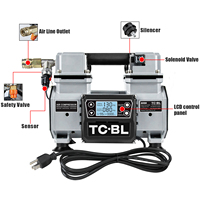 Petit compresseur d'air Portable sans huile, 900W, 220V, léger et silencieux, ap02