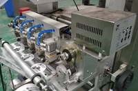 Machine d'emballage de sucre en bâtonnets granulaires multi-voies JINTAIN 2 4 6