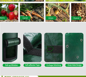 OEM Vente en gros Sacs personnalisés de culture en PE vert foncé noir <span class=keywords><strong>fraise</strong></span> 10 gallons de rhizomes pour plantes Sacs de culture pour la plantation de pommes de terre et de légumes - Product Image 5