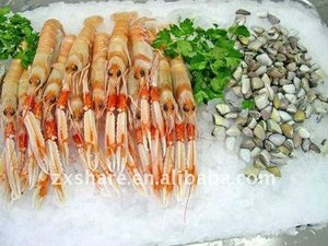 Máy Làm Đá Vảy Máy Làm Đá Công Nghiệp Nước Biển Bằng Thép Không Gỉ Để Làm Mát Hải Sản - Product Image 4