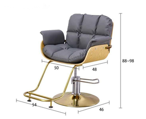 Luxury Upholstered Salon <b>Chair</b> with Adjustable Height and Gold Base - Modern Styling <b>Chair</b> for Professional Use - Product Image 6