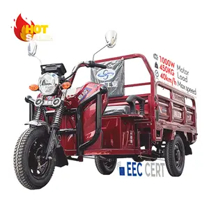 LB-LB160 China Open Body Type 3 Wheel Algeria Cargo Vehicle Tricycle Electric Cargo Tricycle For Cargo And Passenger