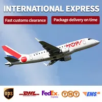 Профессиональный агент по доставке DHL UPS из Китая, специальная линия, Прямая поставка, Экспедитор груза в Чехию DDP DDU