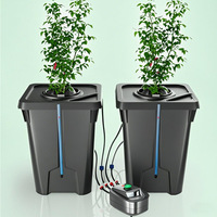 Sistema hidropónico interior automatizado, jardineras holandesas inteligentes con control de nivel de agua