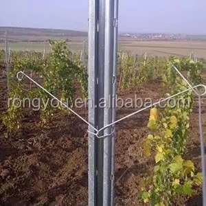Estacas <span class=keywords><strong>de</strong></span> hierro resistentes para viñas, soporte <span class=keywords><strong>de</strong></span> jardín para plantas trepadoras con galvanizado para uvas, tomates y pepinos - Product Image 2