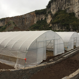 Tunnel serra agricola a campata singola di grandi dimensioni con pellicola in PE per la coltivazione <span class=keywords><strong>del</strong></span> peperone - Product Image 4