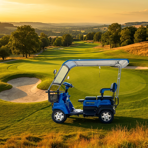Voiturette <span class=keywords><strong>de</strong></span> golf 3 places avec auvent, 60V20AH, autonomie 41km, sièges intégrés élargis, carrosserie ABS, pour usage sur parcours <span class=keywords><strong>de</strong></span> golf, <span class=keywords><strong>de</strong></span> <span class=keywords><strong>l</strong></span>'usine chinoise S3, vente en gros - Product Image 1