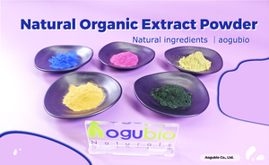 100% murni organik <span class=keywords><strong>Hojicha</strong></span> bubuk ekstrak teh hijau instan untuk dijual - Product Image 5