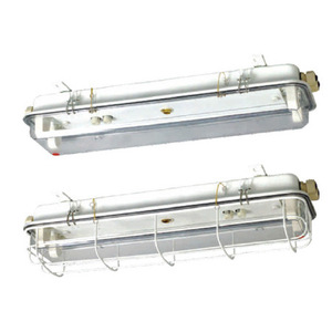 Lámpara de Techo Fluorescente para Cabina CYXG4124 con Cubierta de Malla, Iluminación de Emergencia de Doble Tubo para Sala de Máquinas - Product Image 1