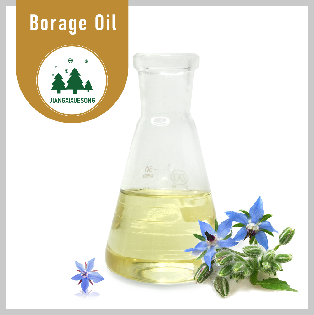 100% Organic Borage Oil Extract Seed Store in Cool & Dry Place Yellowish Oily Liquid Wild Linoleic Acid Oil Powder Red Oil Xs8