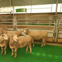 100x60cm Plancher à lattes en plastique épais et de haute qualité pour l'élevage de moutons et de chèvres
