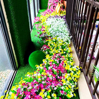 Dekoration Seiden blumen Springende Orchidee 7 Gabeln Künstliche Blumen Kleiner Gänseblümchen strauß