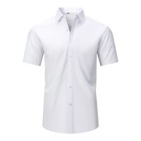 Chemise décontractée pour homme la plus vendue, extensible dans les quatre sens, sans fer, résistante aux plis, couleur naturelle.